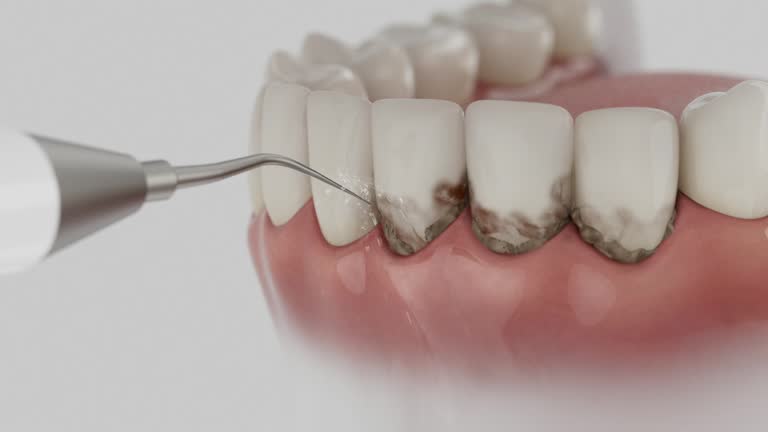 Reliable Dental contractor in Langley, SC by Dentist Open Now